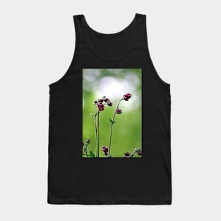 Early Spring Tank Top